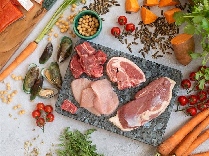 Fresh meat, poultry, seafood and other ingredients arranged for premium pet food