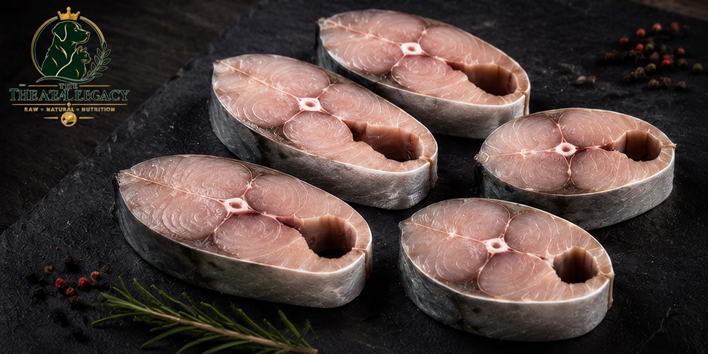 Mackerel — photo 4