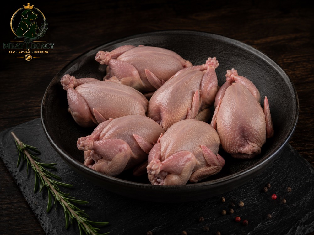 Quail — photo 2